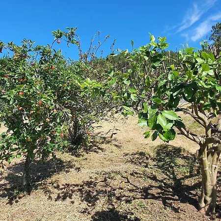 度假居 Casa Maria 穆希亚