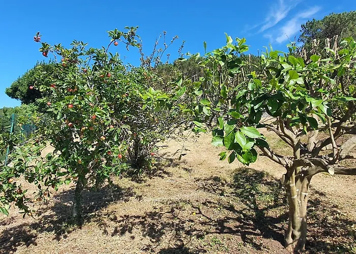 Dom wakacyjny Casa Maria Muxia